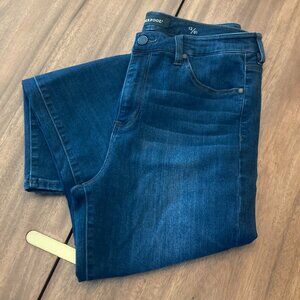 Liverpool Abby High Rise Skinny Jean / Size 12